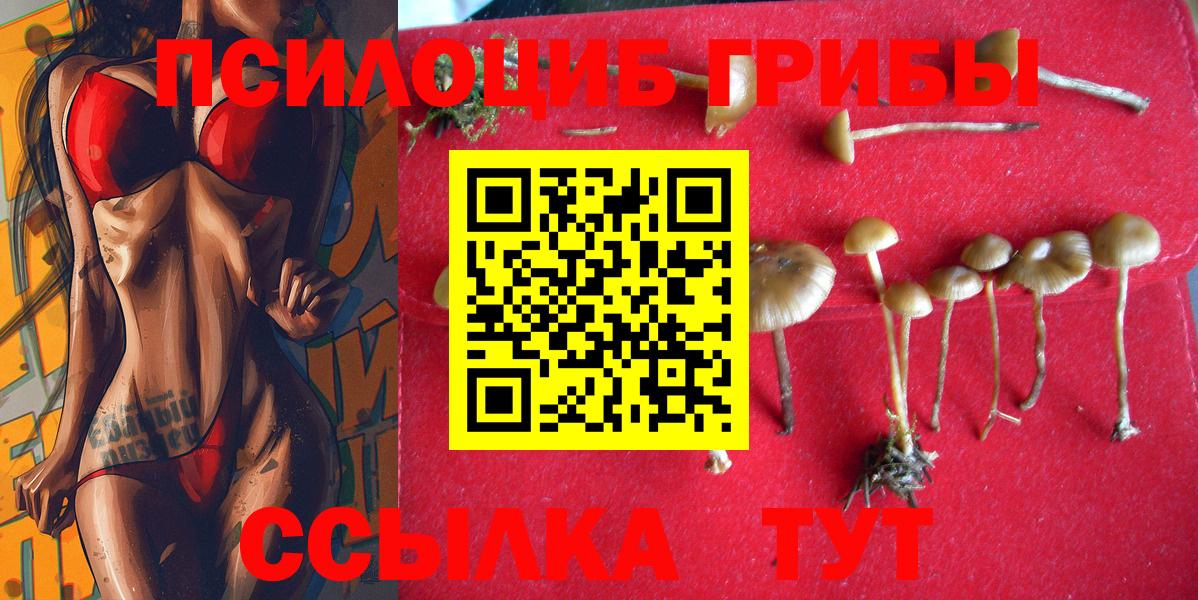 Владикавказ  Галлюциногенные грибы GOLDEN TEACHER  Вход с VPN  Галлюциногенные грибы MAGIC MUSHROOMS 