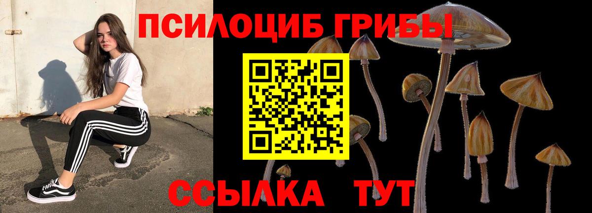 Галлюциногенные грибы Cubensis Владикавказ